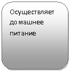 ����������� �������������: ������������ �������� �������