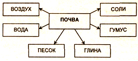 http://festival.1september.ru/articles/563325/img2.gif