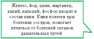 ������������� �������: ������, ���, ����, ��������, �����, �������, ������ ������ � ������ ����. ���� ������� ��� �������� �������, �������� �������� �� �������� ������� ����������� �����.
