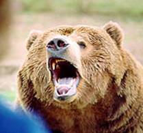 ������� ��������. ��������� � ������������� �������� - Trasa.Ru