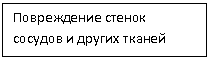 �������: