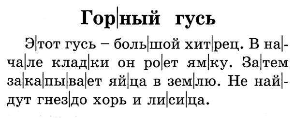 Горный гусь