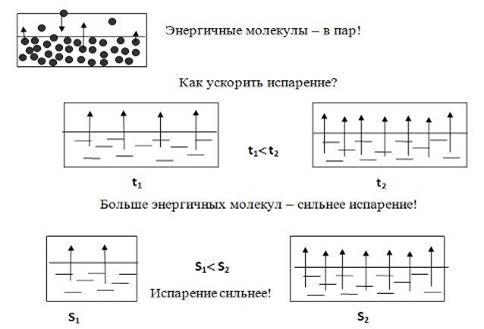 http://conf.cpkro.kirov.ru/image/uhova/uhova3.jpg