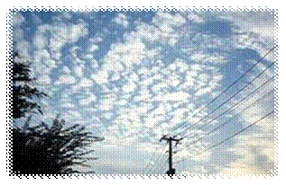 https://encrypted-tbn2.gstatic.com/images?q=tbn:ANd9GcSr12XDZmecrEW0c3IvQNq8i5dW_fHS2EqYQoCPxlTaQ0mBBniQ