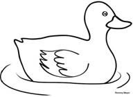 pato-1.jpg