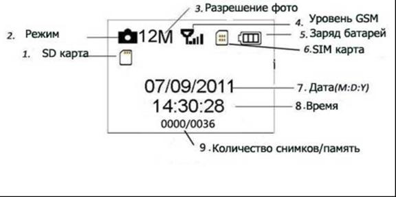 image6