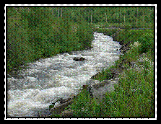 http://www.hibiny.ru/images/gallery/gal275/e060e0e32bfd0e6125ab14d1ccc5e3a1.jpg
