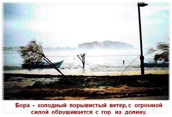 Картинка 5 из 2275