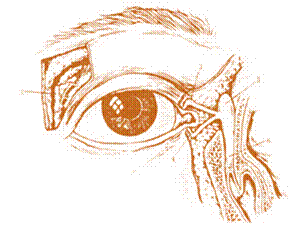 http://ok-t.ru/studopediaru/baza11/193140005824.files/image012.jpg