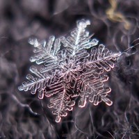 http://www.ecoindustry.ru/i/ecorecords/44/16m.jpg