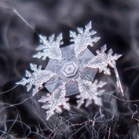 http://www.ecoindustry.ru/i/ecorecords/44/20m.jpg