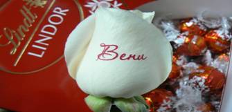 http://www.bgroza.com/images/slider/BGROZA_1440916.jpg