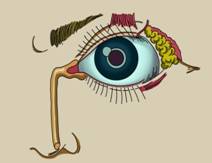 http://eyesfor.me/assets/content/images/id843.jpg