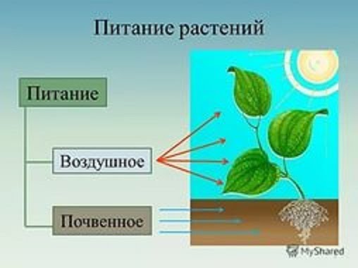 https://sites.google.com/site/otkryrok/_/rsrc/1448450994796/home/intellektualnaa-razminka/i%20%2826%29.jpg