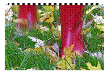 �������� �� ������� � ������������ ��������� ���������� � ���