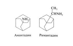 http://sportswiki.ru/images/thumb/1/1f/Gm1025.jpg/250px-Gm1025.jpg