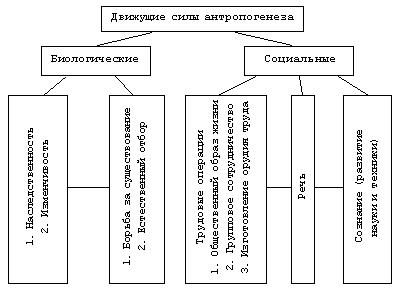 http://bio.1september.ru/2003/35/9.gif