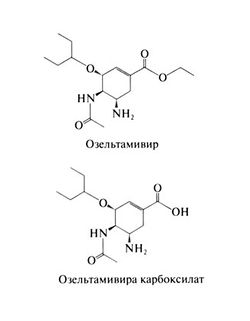 http://sportswiki.ru/images/thumb/4/4c/Gm1026.jpg/250px-Gm1026.jpg