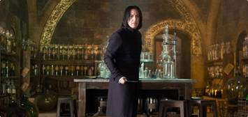 http://www.zvezdnyi.com/uploads/garri-poter/snape-2.jpg
