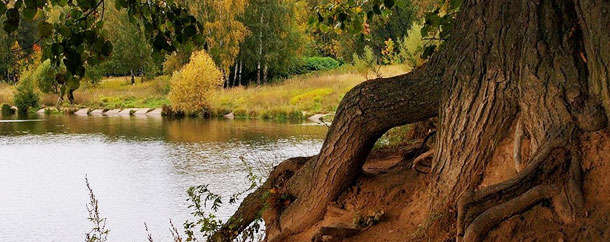 http://www.rodonit-spb.ru/upload/20.jpg
