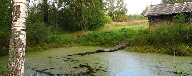 http://www.rodonit-spb.ru/upload/15.jpg