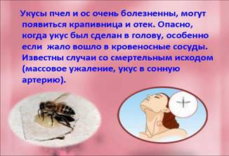 http://900igr.net/datai/obg/Pravila-bezopasnosti-na-kanikulakh/0016-020-Ne-lezte-v-gnezda-os.jpg