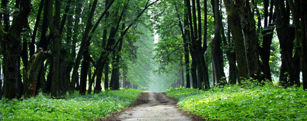 http://www.rodonit-spb.ru/upload/22.jpg