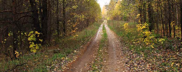 http://www.rodonit-spb.ru/upload/22-1.jpg