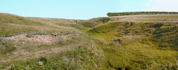 http://www.rodonit-spb.ru/upload/25.jpg