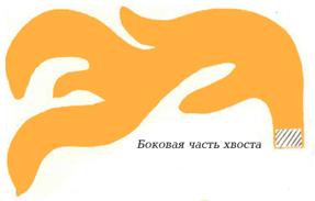 Детали для рыбки