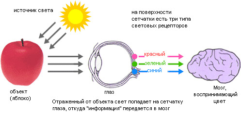 http://colory.ru/cms.ashx?req=Image&imageid=db7f1ccd-cee3-42b6-95e7-83deb35bb249