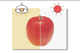 http://colory.ru/cms.ashx?req=Image&imageid=2f1313d6-eb47-4b57-9b25-a8e2673f6591