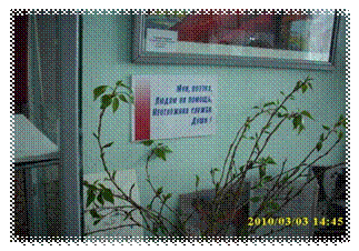 http://gimnazia62.kuzbass.net/uploads/image/201003kiselev/DSCI0158.JPG