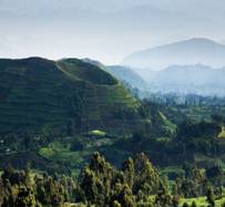 http://www.sardtravel.ru/files/533/uganda.jpg
