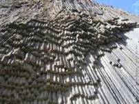 Garni_11_17.jpg
