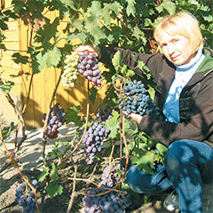 http://itogi.lpgzt.ru/photo/theme/14/48923/main.jpg