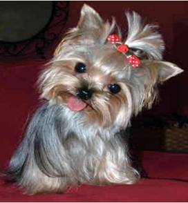 C:\Users\user\Desktop\Фото\Для прайса\127901430975.jpg