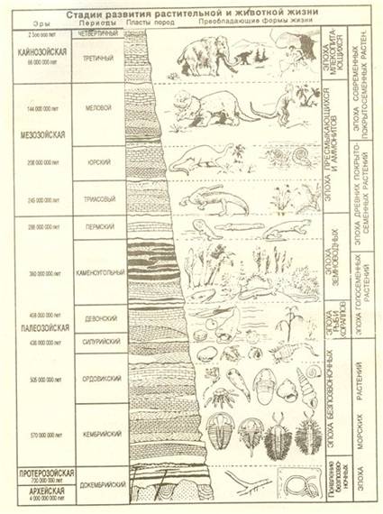 http://ok-t.ru/studopedia/baza3/92573939377.files/image009.jpg