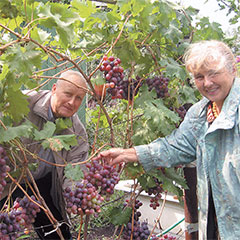 http://itogi.lpgzt.ru/photo/theme/14/48923/foto5.jpg