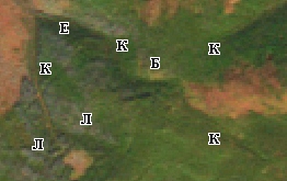 2011.jpg