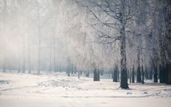 http://xn----8sbiecm6bhdx8i.xn--p1ai/sites/default/files/poslovici_zima_011.jpg