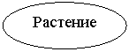 ����: ��������