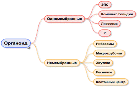 Вариант 1