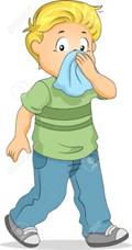 http://previews.123rf.com/images/lenm/lenm1301/lenm130100005/17291072-Illustration-of-a-Boy-Covering-His-Nose-with-a-Handkerchief-Stock-Illustration.jpg