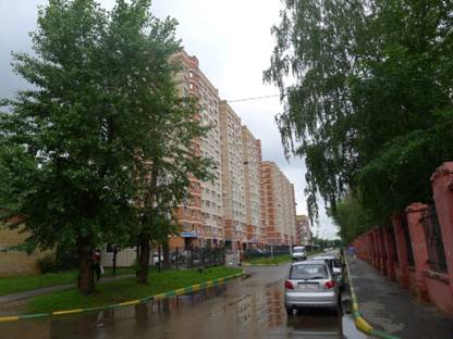 D:\РАБОТАМои рисунки\Краеведение\Воскресенск. Фото\Воскресенск сегодня\Улицы\Ул. Хрипунова. Июнь 2012. М.Васильева\P1030181.JPG