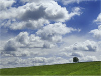 http://nctregion.ru/images/zemlya-lisavy2.jpg