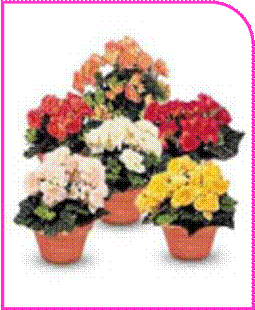 http://doshvozrast.ru/images/roditeli08/image004.jpg