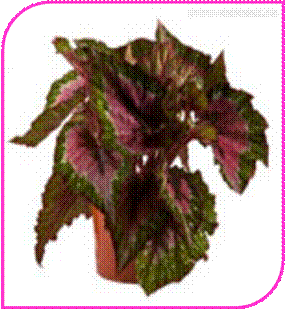 http://doshvozrast.ru/images/roditeli08/image005.jpg
