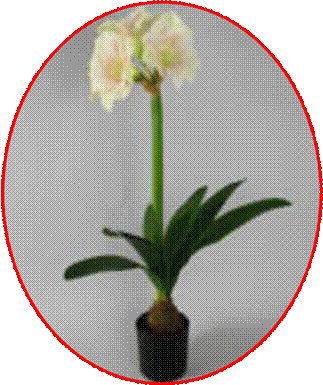 http://doshvozrast.ru/images/roditeli08/image006.jpg