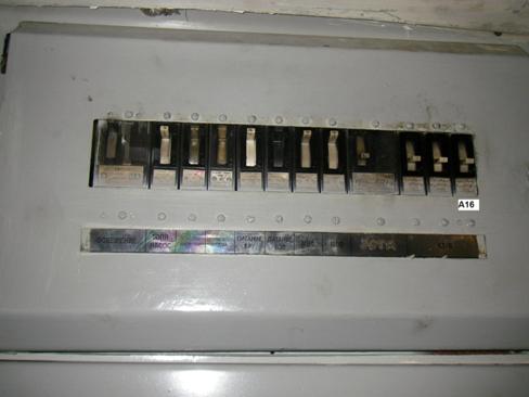P1010004